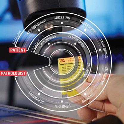 CEREBRO Sistema di tracciamento dei campioni e gestione del flusso di lavoro