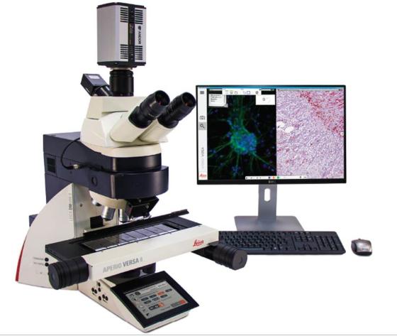 Digitalizador de patologia digital de campo claro, fluorescência e FISH Aperio VERSA