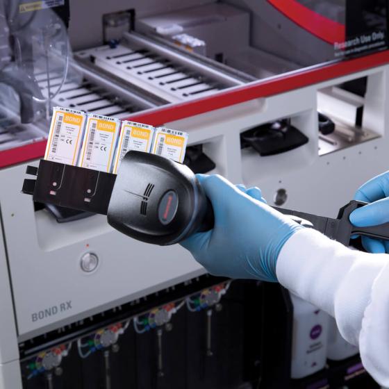 Access antibodies, probes and detection systems at any time for flexible test management.