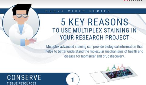 Tips-&-Tricks-to-Multiplexing-Top-5-Reasons-to-Multiplex-and-Chromogenic-versus-Immunofluorescent-Detection-640x560.jpg