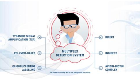 how-to-choose-chromogen-colors-for-multiplex-and-detection-systems-for-multiplex-assays