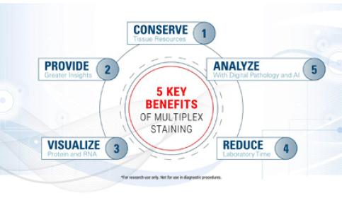 top-5-reasons-to-multiplex-and-chromogenic-versus-immunofluorescent-detection